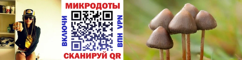 ОМГ ОМГ зеркало  Усть-Джегута  Галлюциногенные грибы GOLDEN TEACHER  что такое  